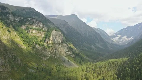 Flying over a valley overgrown with forest between mountains. Stock Footage 264511005