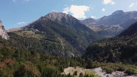 Flying over a valley of pine trees in the Pyrenees Stock Footage 228936480
