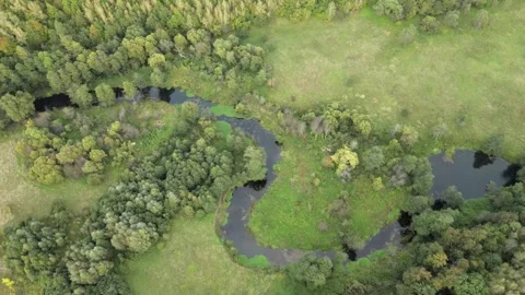 Flying over the Vashana River, forests and wildlife of the Aleksinsky district Stock Footage 254083746