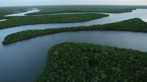 Flying Over Vast Everglades 動画素材 26245000