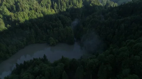 Flying Over View Trees, Lake, Meadow, Dirt Paths Stock Footage 266787081
