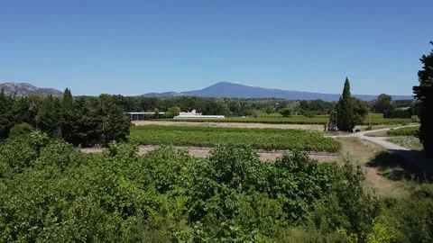 Flying over vineyard to Mont Ventoux Stock Footage 250405203