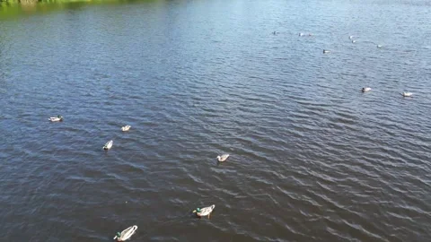 Flying over water 2 Stock Footage 243654743