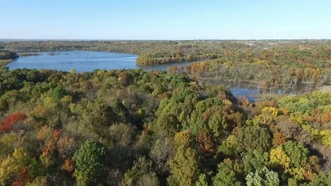 Flying over water and trees in the Fall Stock Footage 102301045