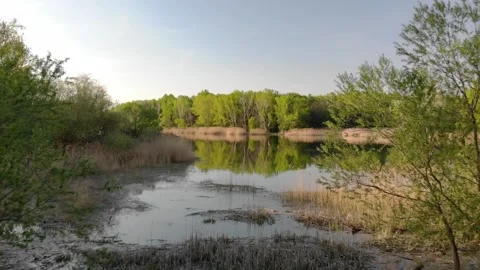 Flying over the water between the trees in the sunset - drone video Stock Footage 232487295