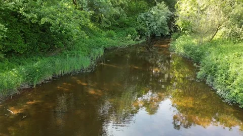 Flying over  water Stock Footage 243659949