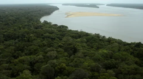 Flying over the water to the forest Stock Footage 52336549