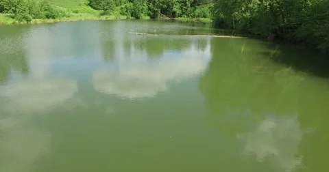 Flying over the water in the forest Stock Footage 68266924
