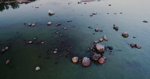 Flying over water with rocks, cliffs and seagulls on an evening Stock Footage 94384755