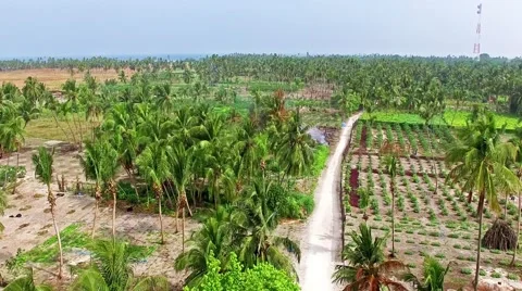 Flying over water, stone and sand beach in the Maldives. Stock-Footage 62067226