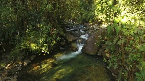 Flying over a waterfall in pristine montane rainforest Stock Footage 82502840