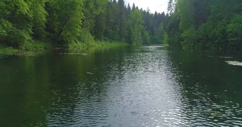 Flying over the waters of a dark forest lake Stock Footage 155766452