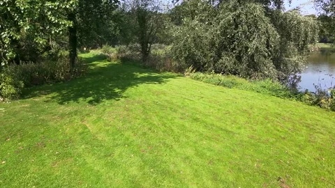Flying over waterside path in Templemore Park with trees and reeds Stock Footage 332679475