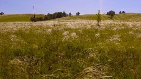 Flying over the waves of feather Stock Footage 109328355