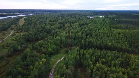 Flying over the wet road towards the power line in the woods. Stock Footage 170061631