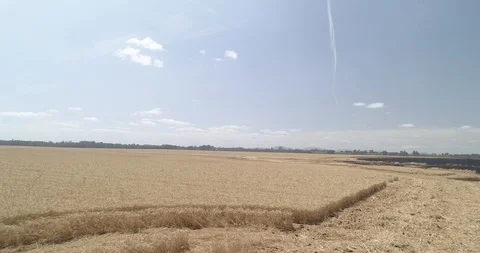 Flying over wheat farm Stock Footage 124857510