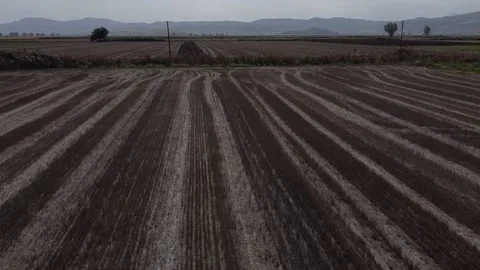 Flying over wheat field after harvest. Agricultural background. Stock Footage 161270406