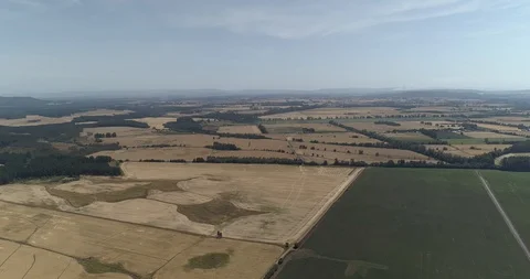 Flying over a wheat field Stock Footage 124858397