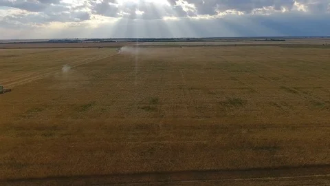 Flying over a wheat field. Many harvesters. Wheat harvest. Stock Footage 93355198