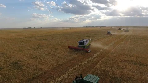 Flying over a wheat field. Many harvesters. Wheat harvest. Stock Footage 93356167