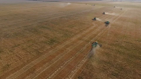 Flying over a wheat field. Many harvesters. Wheat harvest. Stock Footage 93356361
