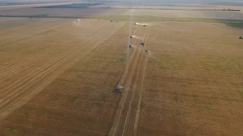 Flying over a wheat field. Many harvesters. Wheat harvest. Stock Footage 93356408