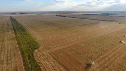 Flying over a wheat field. Many harvesters. Wheat harvest. Stock Footage 93356516