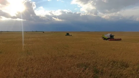 Flying over a wheat field. Many harvesters. Wheat harvest. Stock Footage 93356804