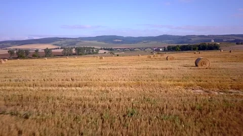 Flying over wheat fields in the Slovakian countryside 2 Stock Footage 311493461