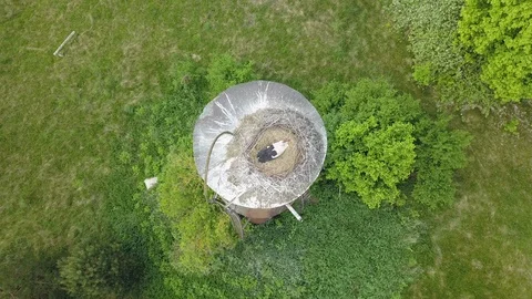 Flying over white stork's nest Stock Footage 91543824