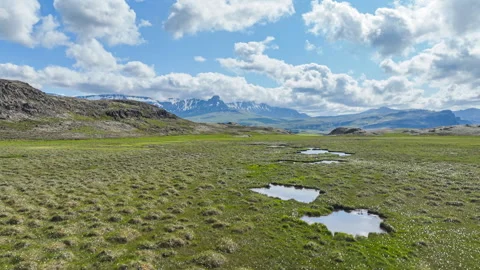 Flying over a wide open grassy field in Borgarbyggð Iceland on a summer day Stock Footage 314277700