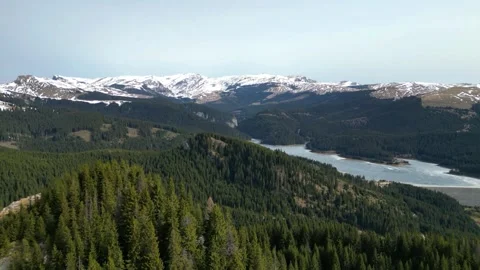 Flying over Widespread coniferous forest in the Carpathian Mountains of Romania Stock Footage 271620837
