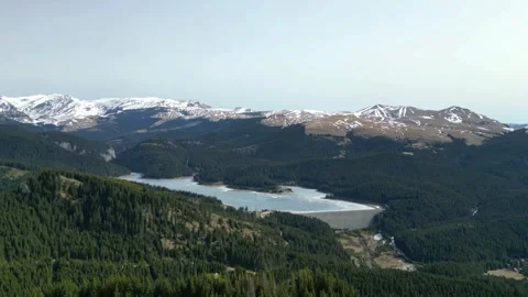 Flying over widespread coniferous forest in the Carpathian Mountains of Romania Video stock 271620839
