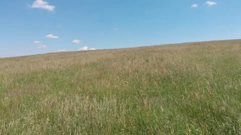 Flying over wild grass field in mountains Stock Footage 139377694