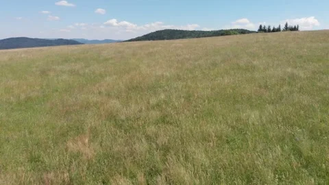 Flying over wild grass field in mountains Stock Footage 139377744
