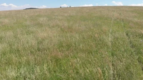Flying over wild grass field in mountains Stock Footage 139377792