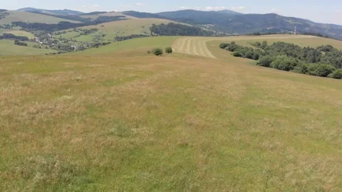 Flying over wild grass field in mountains Stock Footage 139377854