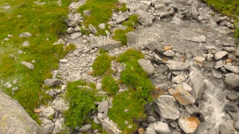 Flying Over a Wild Mountain River in Summer in Italian Alps Stock-Footage 123252106