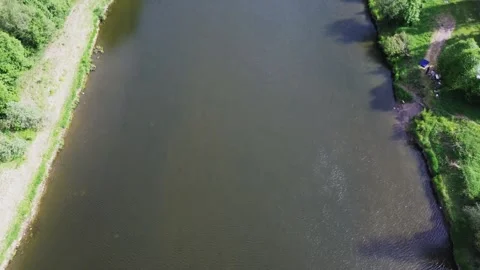 Flying over the wild river around forest in sunny day Stock Footage 246581230