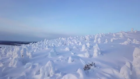 Flying over a wild snow-covered slope over trees in snow caps Stock-Footage 144137066