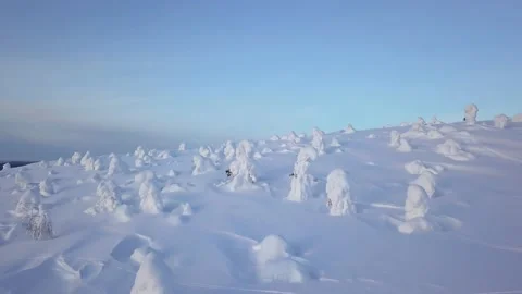 Flying over a wild snow-covered slope over trees in snow caps, in wild mountains Stock-Footage 144137072