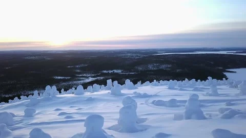 Flying over a wild snow-covered slope over trees in snow caps Stock-Footage 144137096