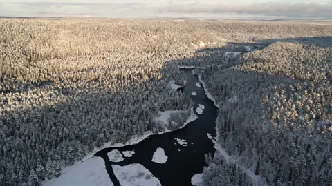 Flying over a wild spruce forest in the middle of a frozen river Stock Footage 297123152