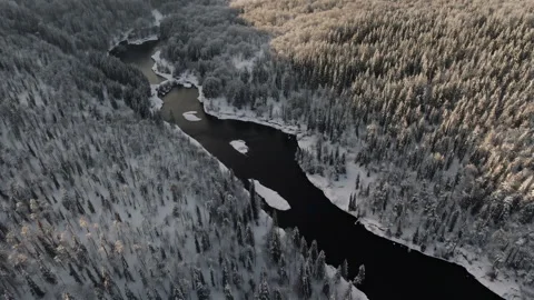 Flying over a wild spruce forest in the middle of a frozen river Stock Footage 297127565