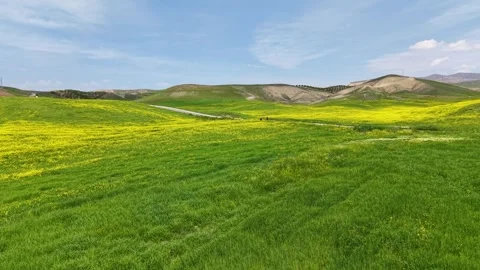 Flying Over a Wildflower Meadow Toward Two People Taking Photos 스톡 동영상 340851862