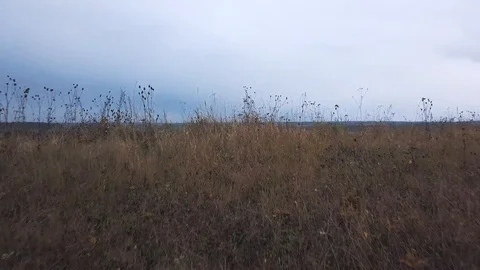 Flying over a winding river. Drone view 库存影片 105275236