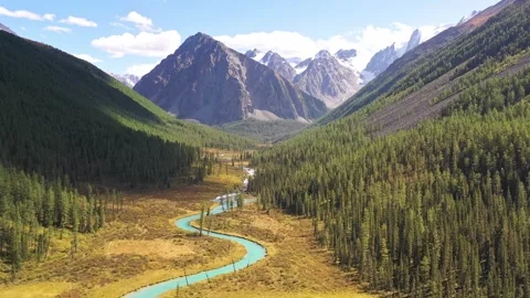 Flying over a winding river in a forest in a valley to mountains with glaciers Stock Footage 263731953