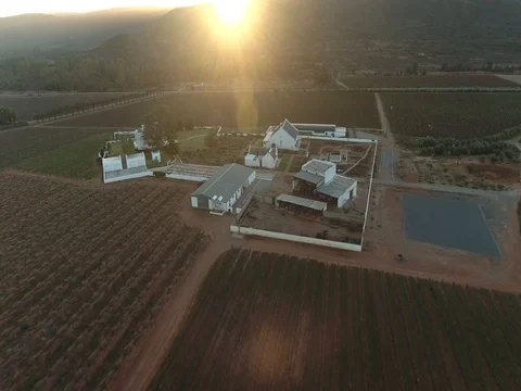 Flying over wine farm in McGregor, Western Cape, South Africa at sunset Video stock 79962260