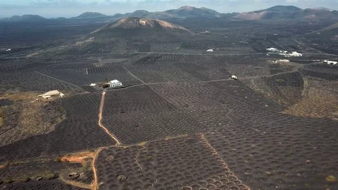 Flying over wine valley of La Geria, Lanzarote, Canary islands, Spain Stock Footage 75994979