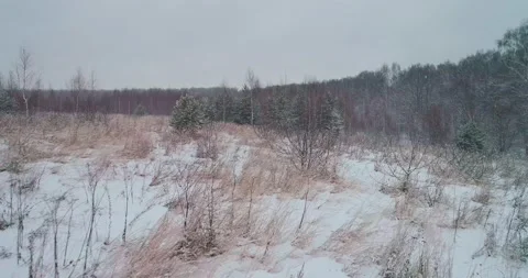 Flying over a winter field Stock Footage 147190906